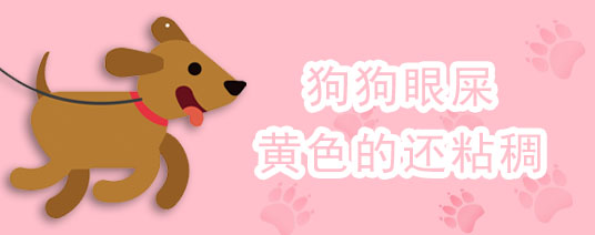 狗狗眼屎黄色的还粘稠