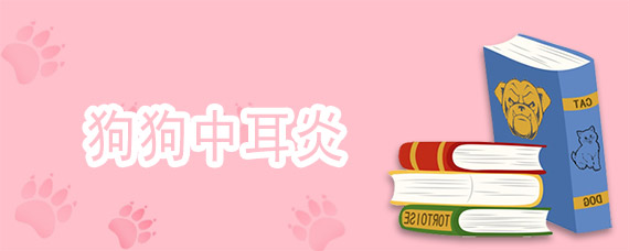 狗狗中耳炎