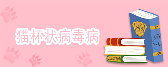 猫杯状病毒病