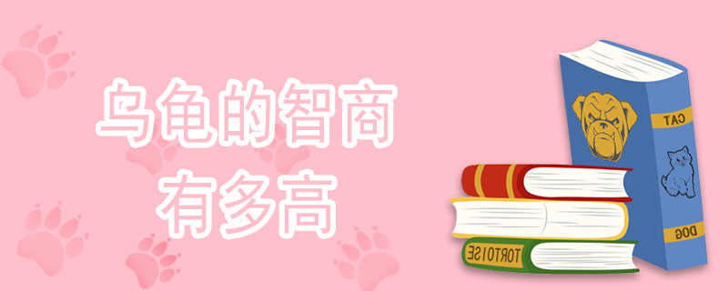 乌龟的智商有多高