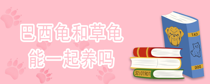 巴西龟和草龟能一起养吗