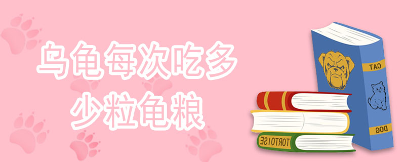 乌龟每次吃多少粒龟粮